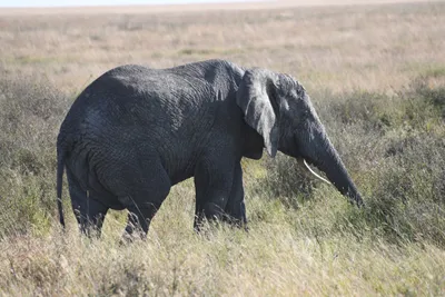 DSC_3835 (Large).JPG